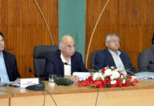 CDWP approves five projects worth Rs11bn
