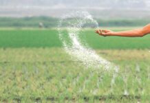 Urea offtake likely to surge 43pc in Aug