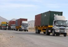 Govt suspends axle load condition for one year