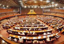 Steps being taken to curtail smuggling from Afghanistan, Senate panel told