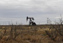 Oil prices fall after Saudi pledge to restore lost output