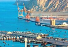 Senate committee raises questions on proposed Gwadar duty exemptions lasting 40 years