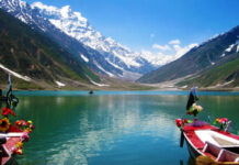 Govt urged to realise country’s tourism potential