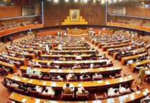 Govt yet to receive Diamer-Bhasha money, NA body told