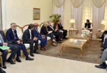 PM Imran updates WB president on economic reforms