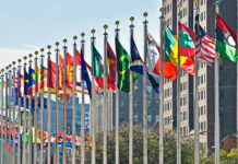 Despite 20pc quota, only two overseas Pakistanis hired as commercial attachés