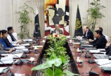 ECC approves energy ministry’s plan to raise over Rs136bn financial facility