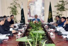 ECC fixes wheat support price at Rs1,365 per 40kg