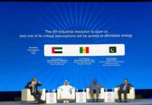 Pakistan’s energy sector potential highlighted at int’l moot