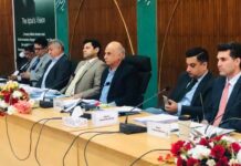 CDWP approves eight projects worth Rs31.6bn