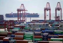 OECD sees global growth at decade low, blames govts’ indecision