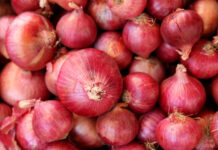 Bangladesh to import onions from Pakistan after 15-year hiatus