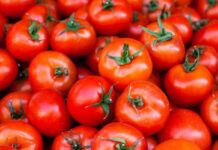 Tomatoes to be imported from Iran after skyrocketing prices