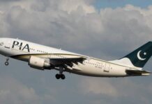 PIA losses cut by half: CEO