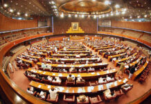 Govt fears difficulties at FATF as Senate body rejects amendment in law