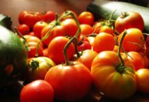 Global food prices hit 26-month high in November