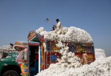 Pakistan misses cotton bales target by 7m in 2019