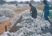 Sales tax on imported cotton raised to 10pc