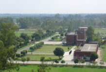 Punjab’s transformation from agrarian to God knows what