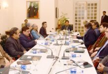 PM Imran orders timely completion of CPEC projects