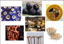 Senate body approves Geographical Indications Bill after 18 years Geographical indicators bill