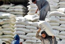 Wheat flour price enforcement improves, other commodities ignored: report Wheat flour 2