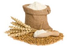 In a first, flour mills to cut prices despite shortage Â