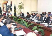 Govt waives off Rs 194m dues against Turkish power firm Karkey