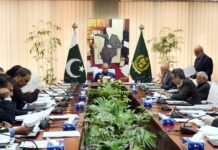 Govt committed to timely privatisation of SME Bank, Pak Reinsurance