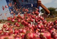 Onion exports banned till May 30th