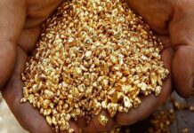 India says discovers fields with over 3,000 tonnes of gold ore