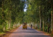WB interested to fund Pakistan’s ecosystem initiative with $188m Ecosystem