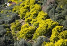 As nations bicker, a greener future evolves in finance Greener future