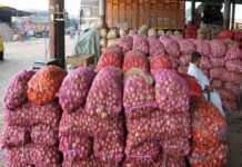 ‘Export of over 300 onion containers allowed’ Onion exports