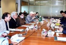 Japanese company eager to acquire 2 RLNG-based power plants