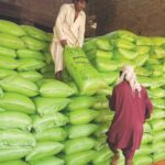 Urea fertiliser