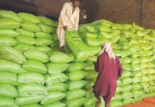 Sindh govt exempts pesticide, fertiliser, seed outlets from lockdown Urea fertiliser