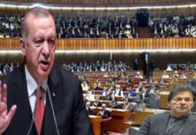 Turkey to support Pakistan to get off FATF grey list: Erdogan