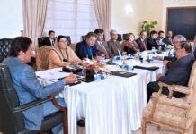 PM Imran orders IT roadmap, launch of 5G spectrum