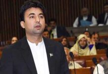 Pakistan Post revenue increased by Rs7 billion within a year: Murad