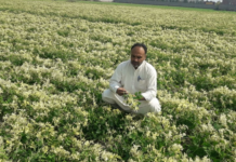 Factory emissions continue to damage crops along Hudiara drain