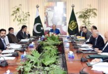 ECC raises wheat support price to Rs1,400 per 40kg