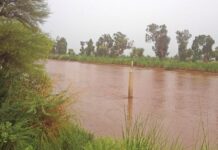 Construction work on 115km Jalalpur Canal finally commences