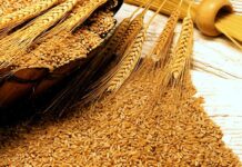 Federal govt says no food shortage expected due to coronavirus outbreak Food shortage-Pakistan