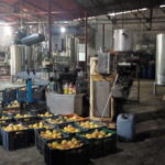 Fruit processing unit