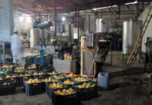 SMEDA misses Feb deadline to activate fruit dehydration unit in Swat Fruit processing unit