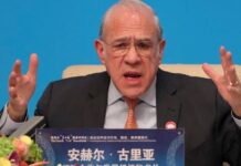 Global economy will suffer for years to come: OECD OECD-coronavirus