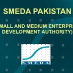 SMEDA