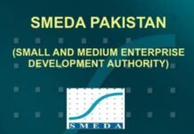 NGOs, state entities ineligible for SMEDA grant SMEDA