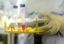 Biotech company on a rush to develop COVID-19 vaccine from tobacco plants